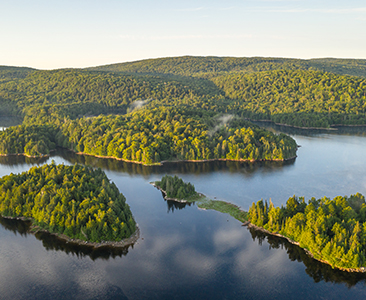 Chiens acceptés sur le territoire du Parc Régional Kiamika