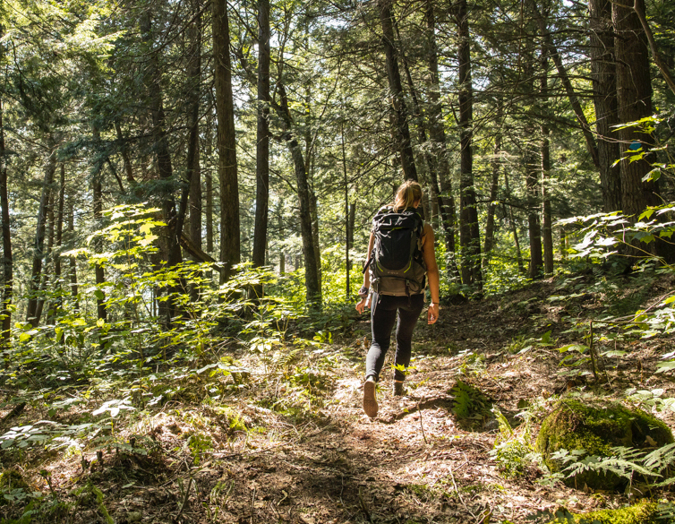 Randonnée au paysage unique. Forêt, faune et plus encore